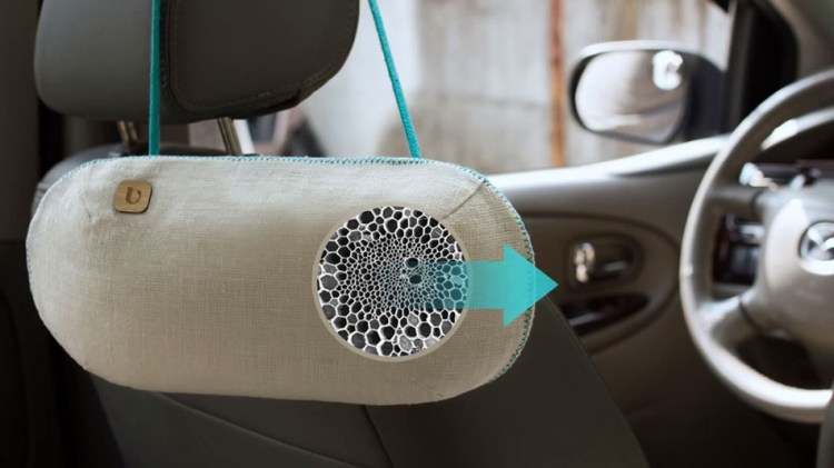 purggo-air-fresher-car