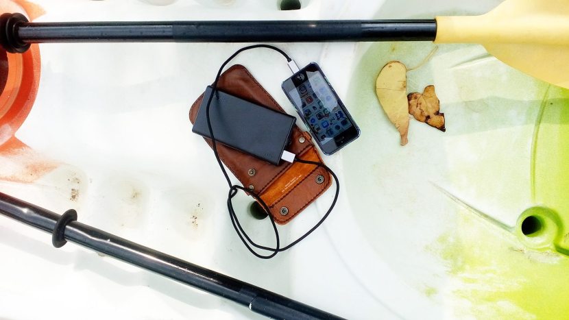 Drop Cell Phone in Water