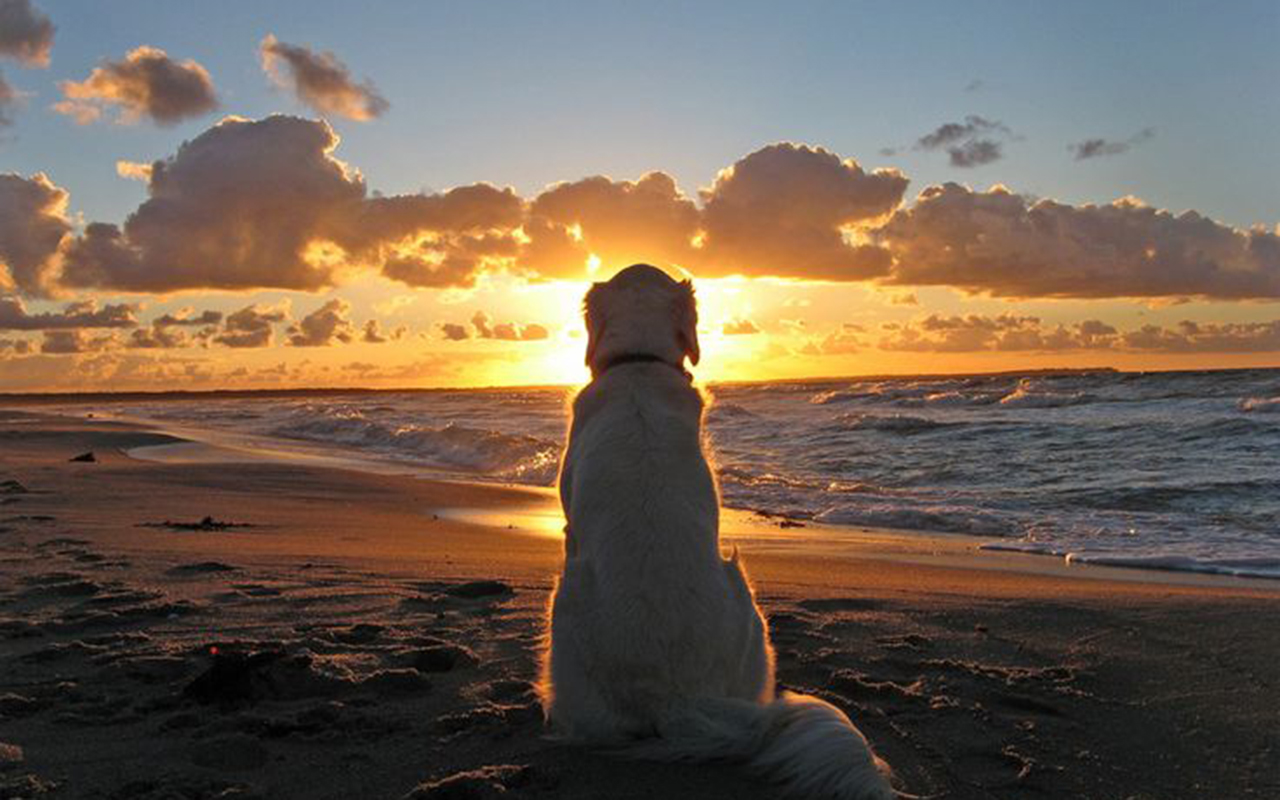 Spring Break Bucket List