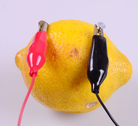Fruit charger