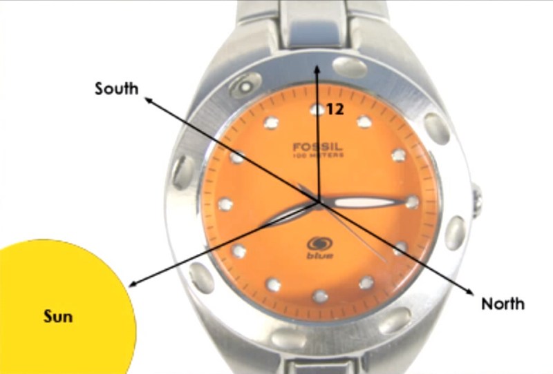 Survival-Tips-and-Tricks-1