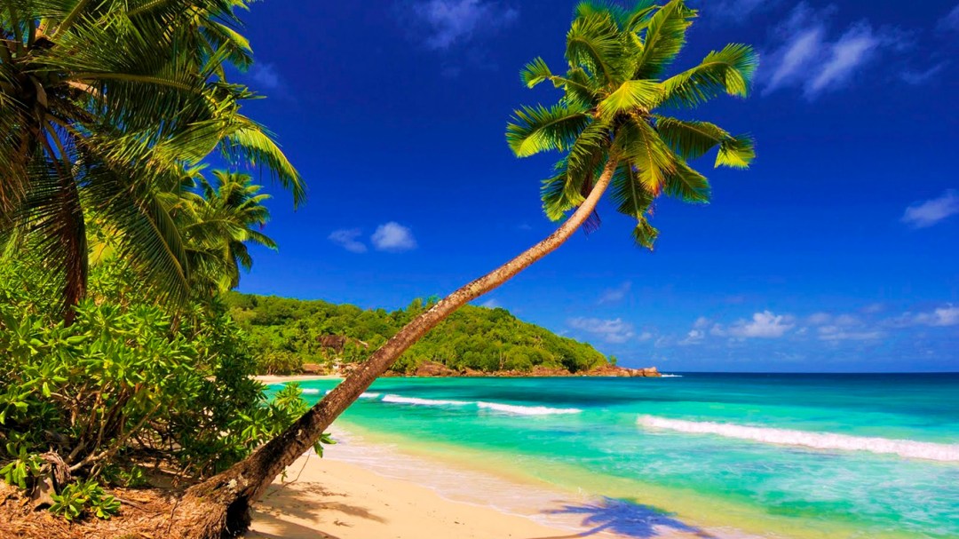 PCB Spring Break 2016