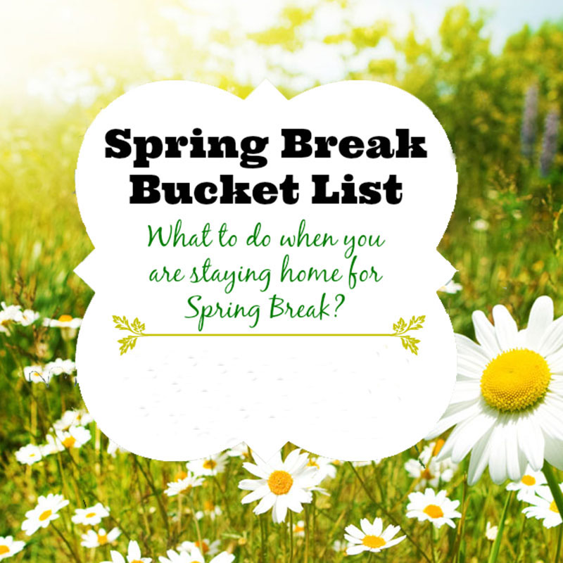Spring Break Bucket List