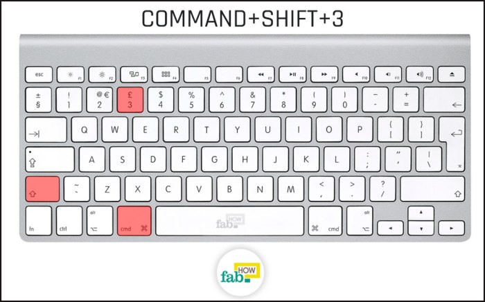 hold_down_command_and_press_shift + 3#