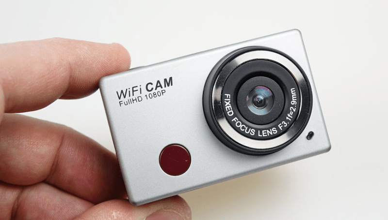 identify_other_animals