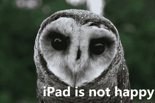 iPad is not happy
