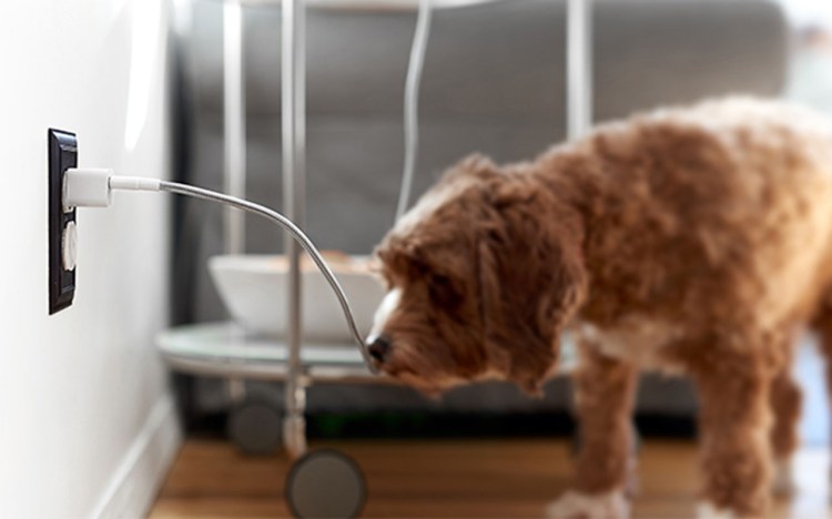 Why Is My Phone Charging Slow:You have a bad cable