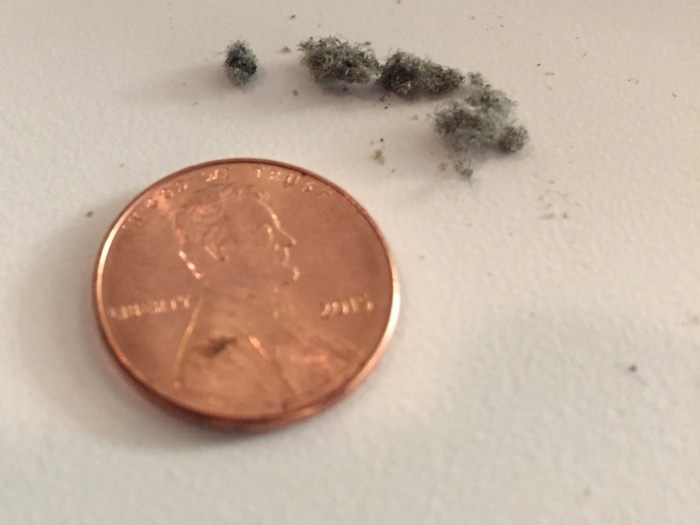 clean_the_charging_port