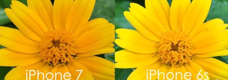 What iPhone Has the Best Camera 2