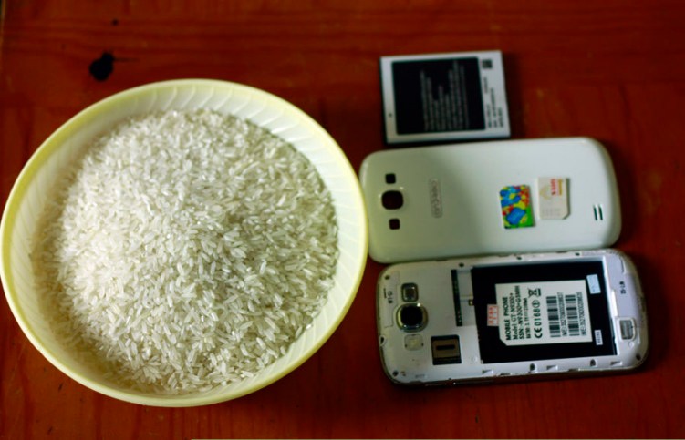 What to do when your phone gets wet 3