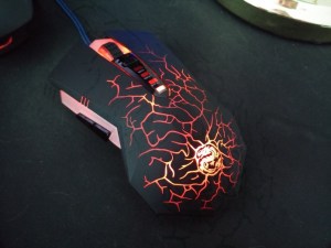 20160117_114904-696x522