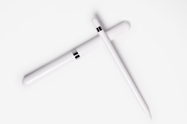 Apple Pencil Case for your iPad Pro 